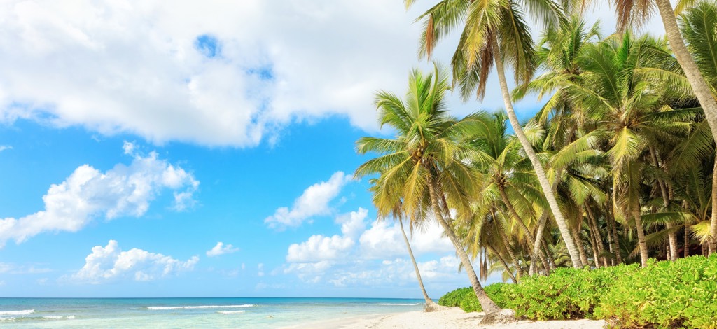 Hotels in La Romana